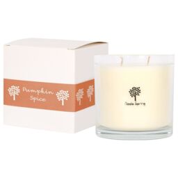 Nicola Spring 400g Soy Wax Scented Candle - Pumpkin Spice - Aromatherapy Jar Candle in Clear - thumbnail 1