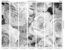 Origin Murals Petals Wall Mural in Grey - Size: W350 cm x H280 cm - thumbnail 3