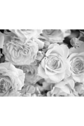 Origin Murals Petals Wall Mural in Grey - Size: W350 cm x H280 cm - thumbnail 2