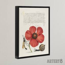 "Artery8 Poppy Snail & Crane Fly Calligraphy Framed Canvas Wall Art Print in White - Size: W12"" x H16""" - thumbnail 2