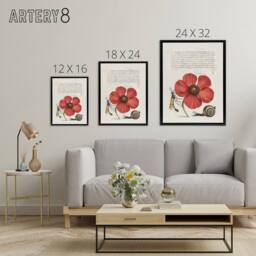 "Artery8 Poppy Snail & Crane Fly Calligraphy Framed Canvas Wall Art Print in White - Size: W12"" x H16""" - thumbnail 4