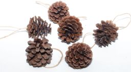 Netagon Hanging Pine Cone Decoration - Pack of 6 in Brown - thumbnail 5