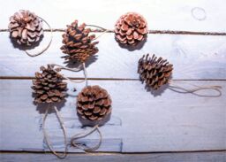 Netagon Hanging Pine Cone Decoration - Pack of 6 in Brown - thumbnail 4