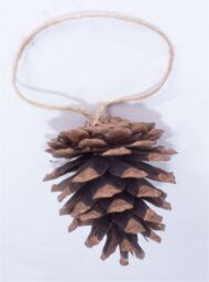 Netagon Hanging Pine Cone Decoration - Pack of 6 in Brown - thumbnail 6