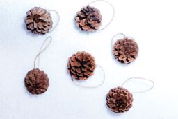 Netagon Hanging Pine Cone Decoration - Pack of 6 in Brown - thumbnail 7