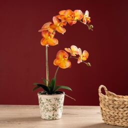 Scottish Everlastings Ltd 61cm Real Touch Orange Phalaenopsis Orchid in Pot - thumbnail 1