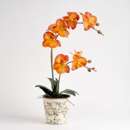 Scottish Everlastings Ltd 61cm Real Touch Orange Phalaenopsis Orchid in Pot - thumbnail 2