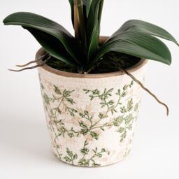 Scottish Everlastings Ltd 61cm Real Touch Orange Phalaenopsis Orchid in Pot - thumbnail 3