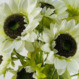 Leaf Pack of 6 x 88cm White Artificial Sunflower - 18 heads - Size: 6 x 88 cm - thumbnail 2