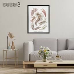 "Artery8 Nudibranch Sea Slug Molluscs Haeckel Botanical Framed Canvas Wall Art in White - Size: W12"" x H16""" - thumbnail 3