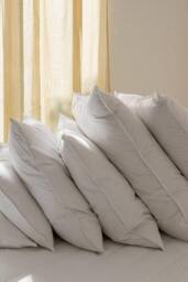 die zudecke Hungarian Goose Feather & Down Firm Pillow in White - thumbnail 3