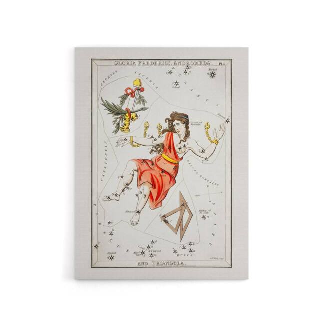 "Artery8 Vintage Andromeda Constellation Illustration Hall Canvas Art Print in White - Size: W12"" x H16""" - image 1