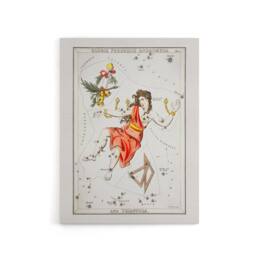 "Artery8 Vintage Andromeda Constellation Illustration Hall Canvas Art Print in White - Size: W12"" x H16""" - thumbnail 1