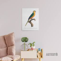"Artery8 The Yellow Fronted Parakeet Levaillant Canvas Wall Art Print in White - Size: W12"" x H16""" - thumbnail 3