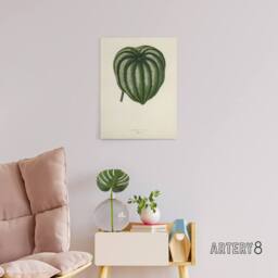 "Artery8 Vintage Botanical Pepper Elder Leaf Fawcett Canvas Wall Art in Beige - Size: W18"" x H24""" - thumbnail 3