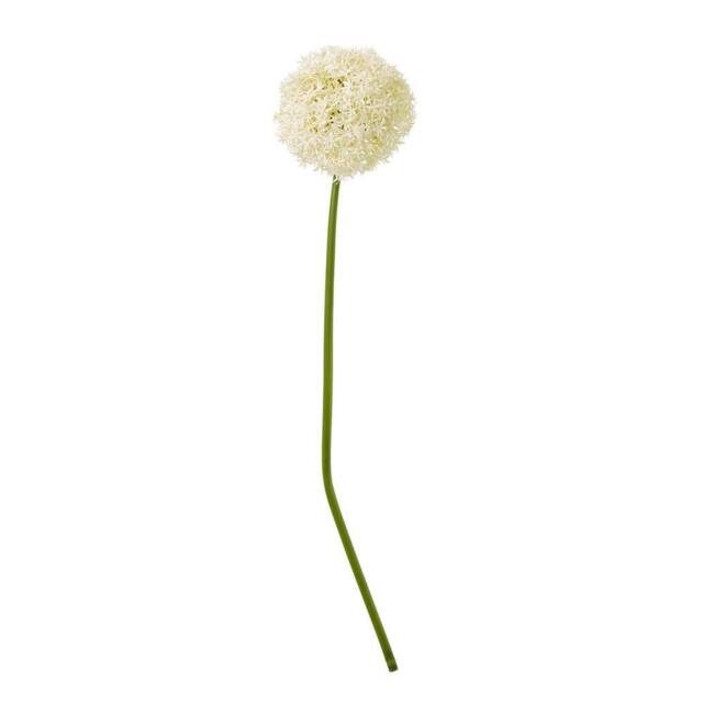 Sostter Cream Giant Allium Stem Faux Flower Arrangement