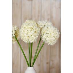Sostter Cream Giant Allium Stem Faux Flower Arrangement - thumbnail 5