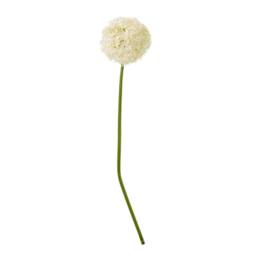 Sostter Cream Giant Allium Stem Faux Flower Arrangement - thumbnail 1