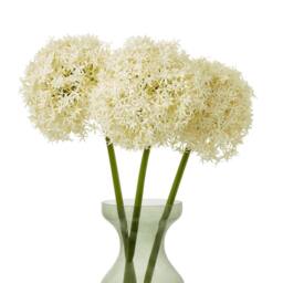 Sostter Cream Giant Allium Stem Faux Flower Arrangement - thumbnail 3