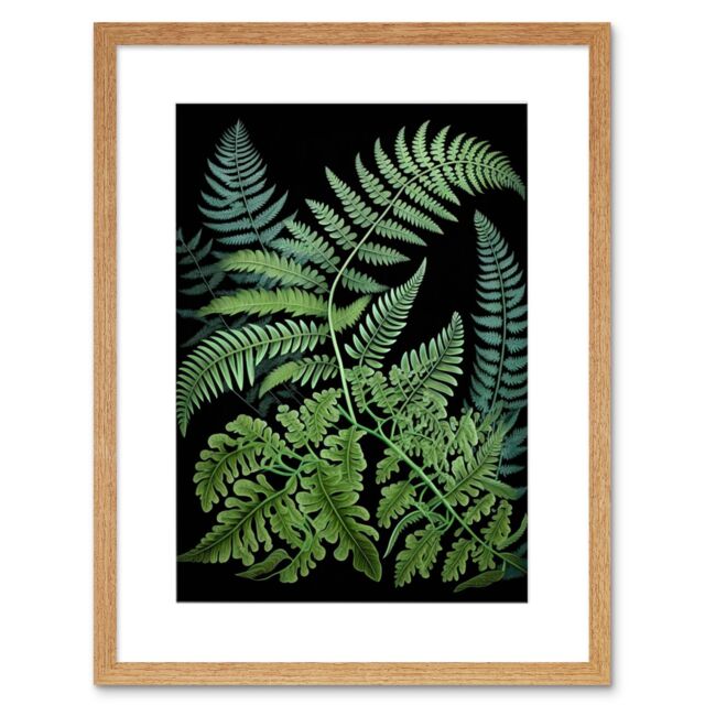 "Artery8 Wall Art Print Fern Fronds Ernst Haeckel Style Dark Artwork Framed 9X7 Inch in Beige - Size: W7"" x H9""" - image 1