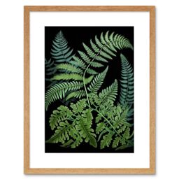 "Artery8 Wall Art Print Fern Fronds Ernst Haeckel Style Dark Artwork Framed 9X7 Inch in Beige - Size: W7"" x H9""" - thumbnail 1