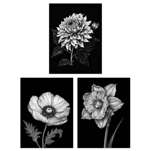 Artery8 Set of 3 Elegant Single Chrysanthemum Poppy Daffodil Spring Flower Black White Floral Impact Artwork Unframed Wall Art Living Room Poster - image 1