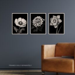 Artery8 Set of 3 Elegant Single Chrysanthemum Poppy Daffodil Spring Flower Black White Floral Impact Artwork Unframed Wall Art Living Room Poster - thumbnail 2
