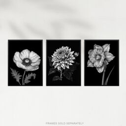 Artery8 Set of 3 Elegant Single Chrysanthemum Poppy Daffodil Spring Flower Black White Floral Impact Artwork Unframed Wall Art Living Room Poster - thumbnail 5