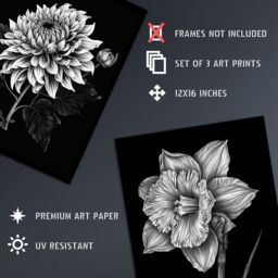 Artery8 Set of 3 Elegant Single Chrysanthemum Poppy Daffodil Spring Flower Black White Floral Impact Artwork Unframed Wall Art Living Room Poster - thumbnail 4
