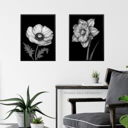 Artery8 Set of 3 Elegant Single Chrysanthemum Poppy Daffodil Spring Flower Black White Floral Impact Artwork Unframed Wall Art Living Room Poster - thumbnail 6