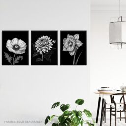Artery8 Set of 3 Elegant Single Chrysanthemum Poppy Daffodil Spring Flower Black White Floral Impact Artwork Unframed Wall Art Living Room Poster - thumbnail 3