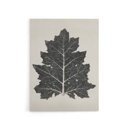 "Artery8 Black & White Leaf Drawing Owen Jones Vintage Canvas Wall Art in Beige - Size: W18"" x H24""" - thumbnail 1
