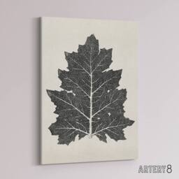 "Artery8 Black & White Leaf Drawing Owen Jones Vintage Canvas Wall Art in Beige - Size: W18"" x H24""" - thumbnail 2
