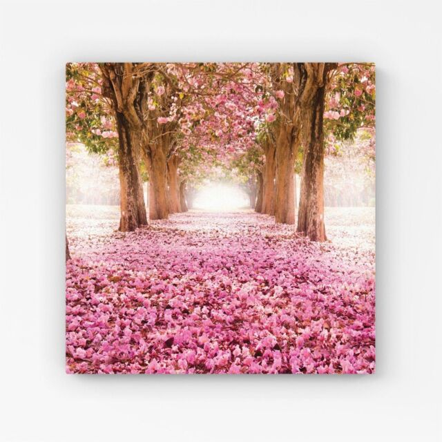 Warren Reed - Designer Pink Flower Tree Tunnel Canvas - Size: w40 inch x h40 inch - image 1