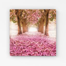 Warren Reed - Designer Pink Flower Tree Tunnel Canvas - Size: w40 inch x h40 inch - thumbnail 1