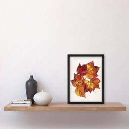 Artery8 Autumn Leaves Leaf Patterns Reijer Stolk Framed Wall Art Print in White - Size: A4 - thumbnail 4