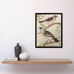 Artery8 Theo van Hoytema Framed Wall Art Print Two Birds on Tree Branches - Size: A4 - thumbnail 2