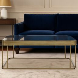 Orsina Mirrored Glass Top Coffee Table, Gold‑Finish Stainless Steel Frame with Decorative Textured Border in Clear