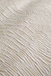 Appletree 'Fossil Jacquard' Textured Duvet Cover Set in Natural - Size: Single - thumbnail 3