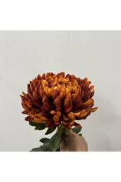 KDMD Chrysanthemum Dark Orange Artificial Flowers - thumbnail 3