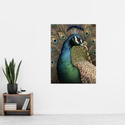 "Artery8 Curious Peacock Detailed Pen & Ink Study Turquoise Modern Extra Large XL Wall Art Poster Print - Size: W24"" x H32""" - thumbnail 4