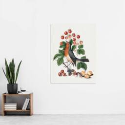 "Artery8 Robin Bird & Wild Strawberry Plant Bolton Wall Art Poster Print in White - Size: W24"" x H32""" - thumbnail 4