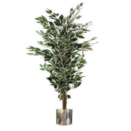 Leaf 130cm Artificial Variegated Bushy Ficus Tree Silver Planter in Green - thumbnail 3