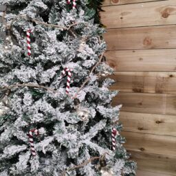 Samuel Alexander Set of 6 12cm Glass Red & White Stripe Candy Cane Christmas Tree Decorations - thumbnail 4
