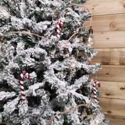 Samuel Alexander Set of 6 12cm Glass Red & White Stripe Candy Cane Christmas Tree Decorations - thumbnail 5