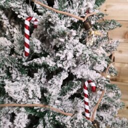 Samuel Alexander Set of 6 12cm Glass Red & White Stripe Candy Cane Christmas Tree Decorations - thumbnail 3