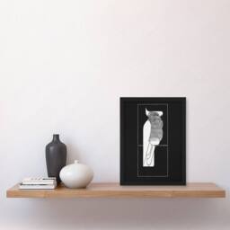 Artery8 Sulphur Crested Cockatoo Parrot De Mesquita Framed Wall Art Print in Black - Size: A4 - thumbnail 4