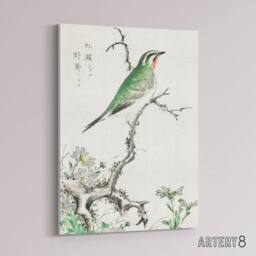 "Artery8 Ruby Throat Bird & Wild Camomile Canvas Wall Art Print Kashu - Size: W12"" x H16""" - thumbnail 2