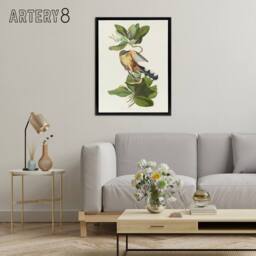 "Artery8 Mangrove Cuckoo Apple Flower Audubon Nature Black Framed Canvas Art in White - Size: W12"" x H16""" - thumbnail 3