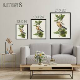 "Artery8 Mangrove Cuckoo Apple Flower Audubon Nature Black Framed Canvas Art in White - Size: W12"" x H16""" - thumbnail 4